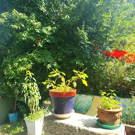 Apartamento Zentral Gelegene Mit Grossem Garten *