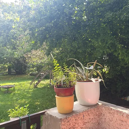 Zentral Gelegene Mit Grossem Garten شقة *