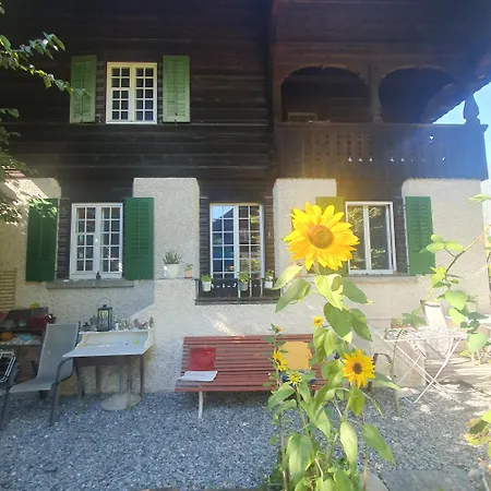 Daire Zentral Gelegene Mit Grossem Garten