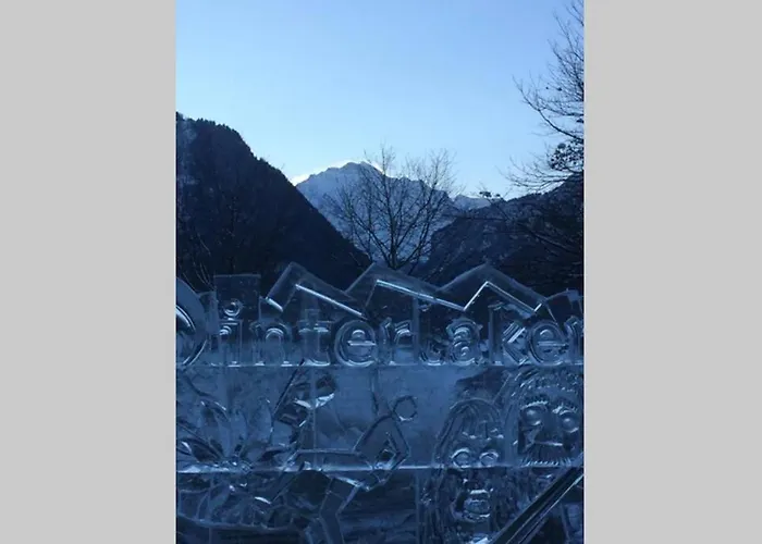 Zentral Gelegene Mit Grossem Garten Interlaken