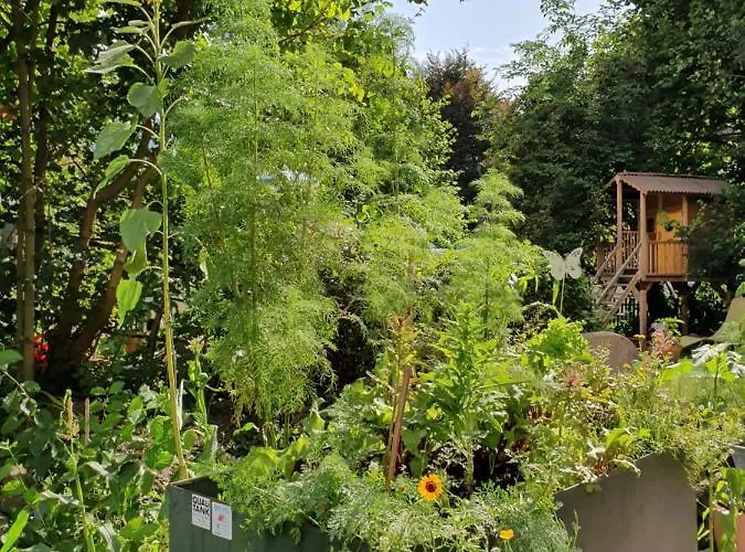 Apartmán Zentral Gelegene Mit Grossem Garten *