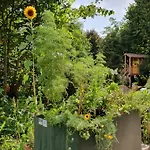 Appartement Zentral Gelegene Mit Grossem Garten *