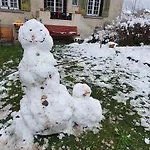 Zentral Gelegene Mit Grossem Garten Appartement