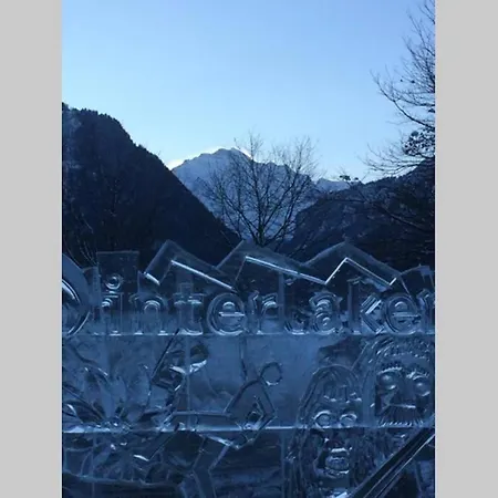 Zentral Gelegene Mit Grossem Garten Interlaken