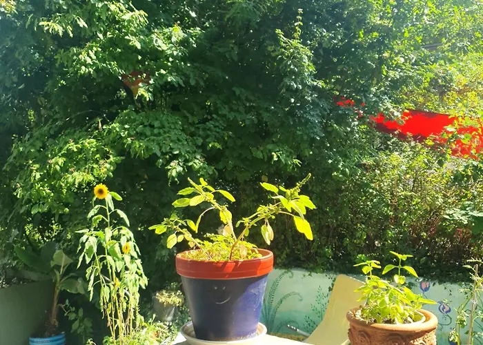 Апартаменты Zentral Gelegene Mit Grossem Garten *